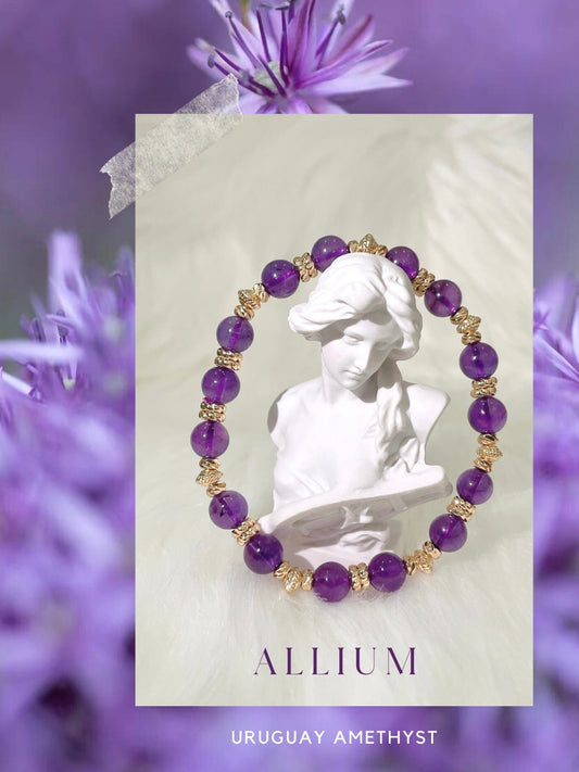 Allium (Uruguay Amethyst)